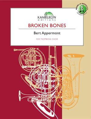 Bert Appermont: Broken Bones
