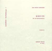 Urs Peter Schneider: Kirchweih I
