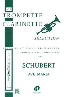 Franz Schubert: Ave Maria