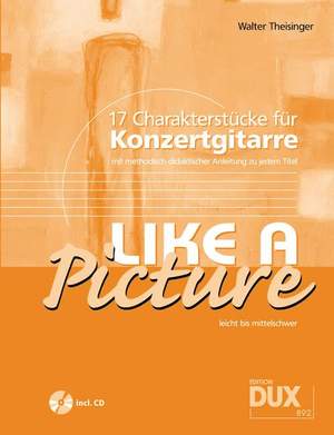 Walter Theisinger: Like A Picture