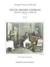 Jacques-François Gallay: 12 Grands Caprices Op.32