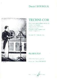 Daniel Bourgue: Techni-Cor Volume 3 : Articulations