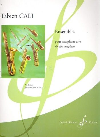 Fabien Cali: Ensembles