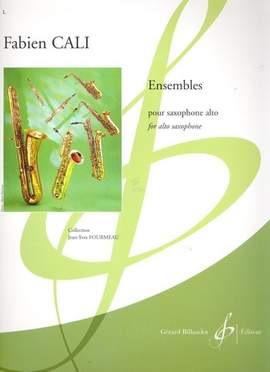 Fabien Cali: Ensembles