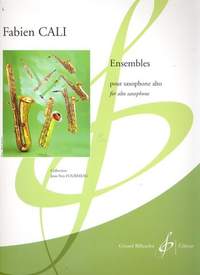 Fabien Cali: Ensembles