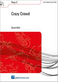 David Well: Crazy Crowd