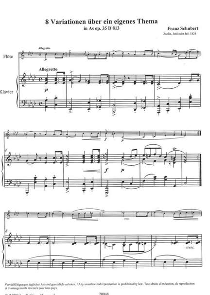 Franz Schubert: 8 Variationen Uber Ein Eigenes Thema