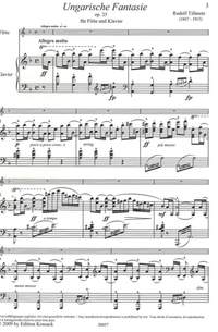 Tillmetz: Ungarische Fantasie