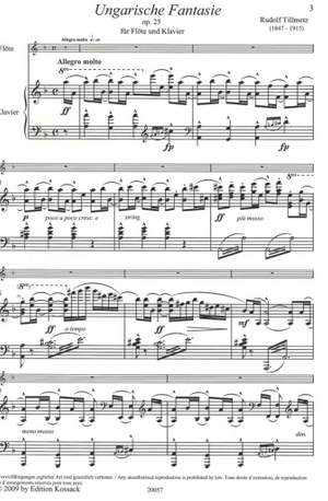 Tillmetz: Ungarische Fantasie