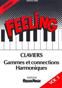 Romane/ Derek Sébastian: Feeling Vol.3