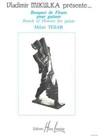 Milan Tesar: Bouquet de fleurs