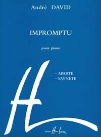 André David: Impromptu