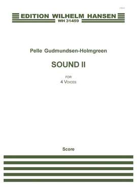 Pelle Gudmundsen-Holmgreen: Sound II