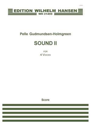 Pelle Gudmundsen-Holmgreen: Sound II