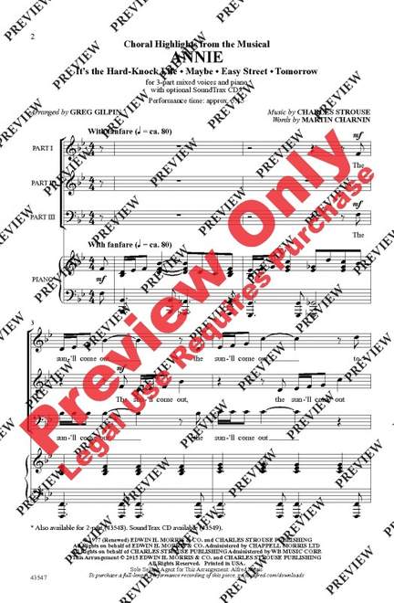 Charles Strouse: Annie