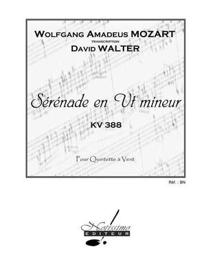 Wolfgang Amadeus Mozart: Serenade In C Minor
