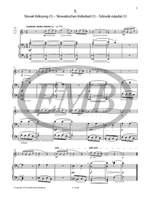 Bartók: 13 Easy Pieces (flute and piano/CD) Product Image