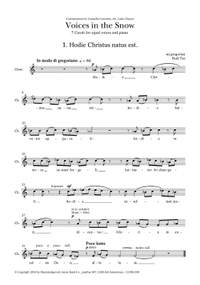 Rudi Tas: Voices in the snow