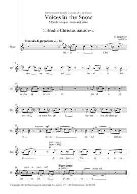 Rudi Tas: Voices in the snow