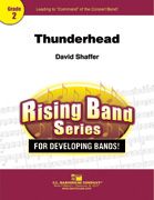 David Shaffer: Thunderhead