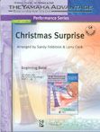 Sandy Feldstein_Larry Clark: Christmas Surprise