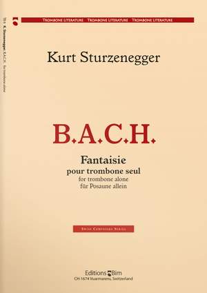 Kurt Sturzenegger: B.A.C.H. Fantasy