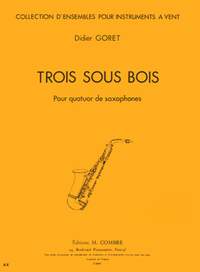 Didier Goret: Trois sous bois