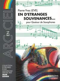 Pierre-Yves Level: En d'étranges souvenances