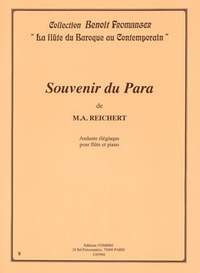 Mathieu André Reichert: Souvenir du para (andante élégiaque)