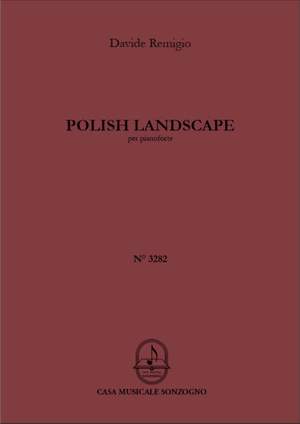 Davide Remigio: Polish Landscape