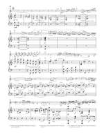 Henri Vieuxtemps: Violin Concerto no. 5 a minor op. 37 Product Image