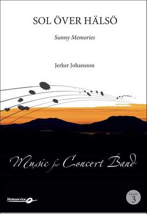 Jerker Johansson: Sunny Memories