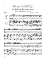 Johann Sebastian Bach: Bass Arias Product Image