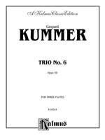 Gaspard Kummer: Trio No. 6, Op. 59 Product Image