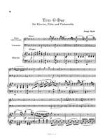 Franz Joseph Haydn: Trio in G Major Product Image