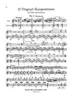 Kaspar Furstenau: 12 Original Compositions, Op. 34 Product Image