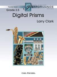 Larry Clark: Digital Prisms