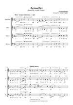 Fergler, Adam: Agnus Dei. SATB (CSS) Product Image