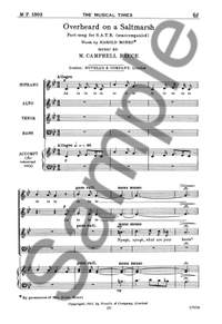 M. Campbell Bruce: Overheard On A Saltmarsh