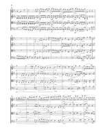 Beethoven: String Quartets III Vol. 5 Product Image
