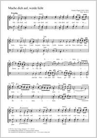 Flügel, Gustav: Mache dich auf, werde licht