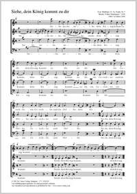 Bräutigam, Volker: Siehe, dein König kommt zu dir