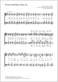 Champion, Thomas: Never weatherbeaten saile