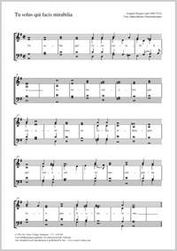 Desprez, Josquin: Tu solus qui facis mirabilia