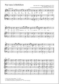 Esterházy, Pál: Puer natus in Bethlehem