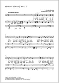 Cutts, Alan: The Star of the County Down