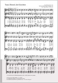 Hauner, Norbert: Tauet, Himmel, den Gerechten