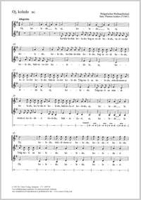 Arabov, Plamen: Oj, koledo