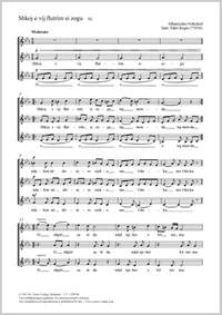 Beqiri, Fahri: Shkoj e vij flutrim si zogu