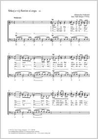 Beqiri, Fahri: Shkoj e vij flutrim si zogu